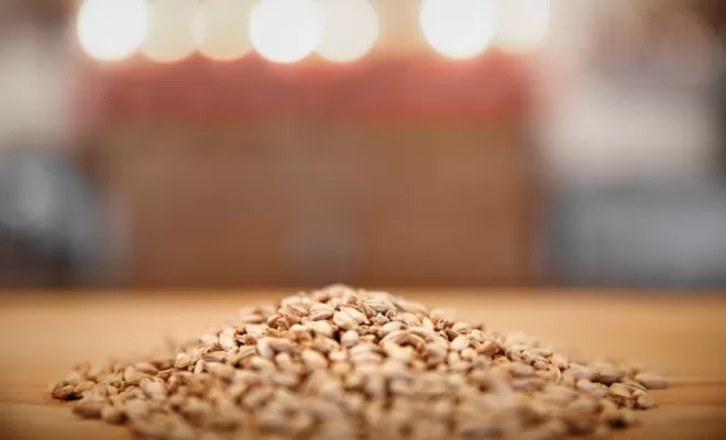 Les ingrédients, Bourg-en-Bresse, Brasserie Kooka