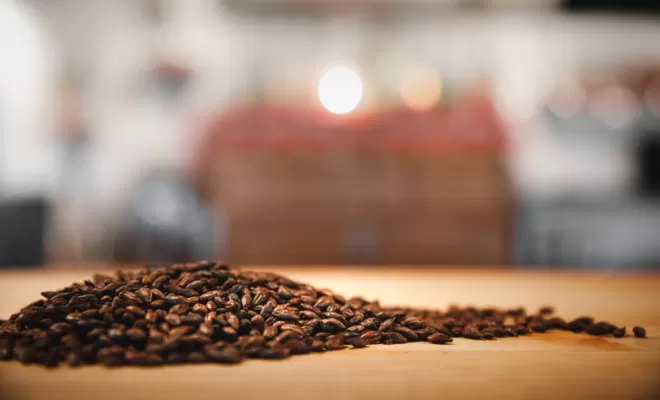 Les ingrédients, Bourg-en-Bresse, Brasserie Kooka