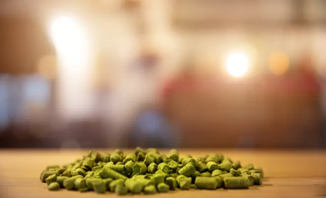 Les ingrédients, Bourg-en-Bresse, Brasserie Kooka