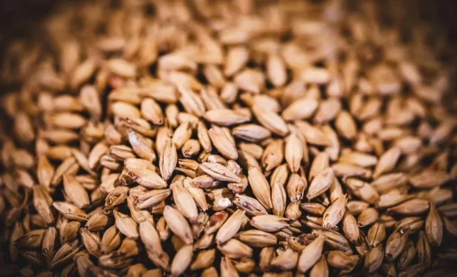 Les ingrédients, Bourg-en-Bresse, Brasserie Kooka