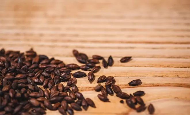 Les ingrédients, Bourg-en-Bresse, Brasserie Kooka