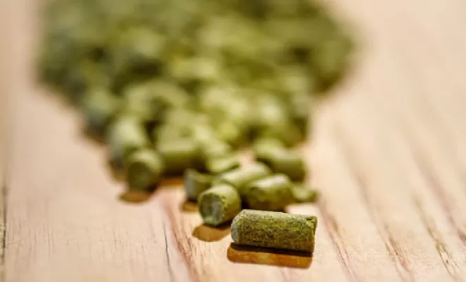 Les ingrédients, Bourg-en-Bresse, Brasserie Kooka