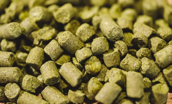 Les ingrédients, Bourg-en-Bresse, Brasserie Kooka