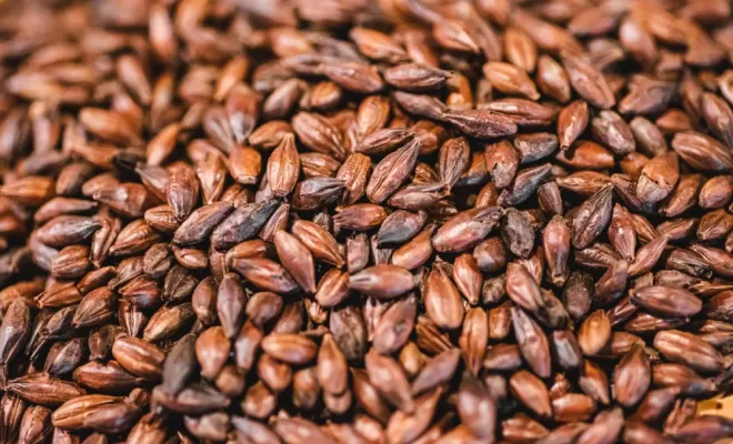 Les ingrédients, Bourg-en-Bresse, Brasserie Kooka