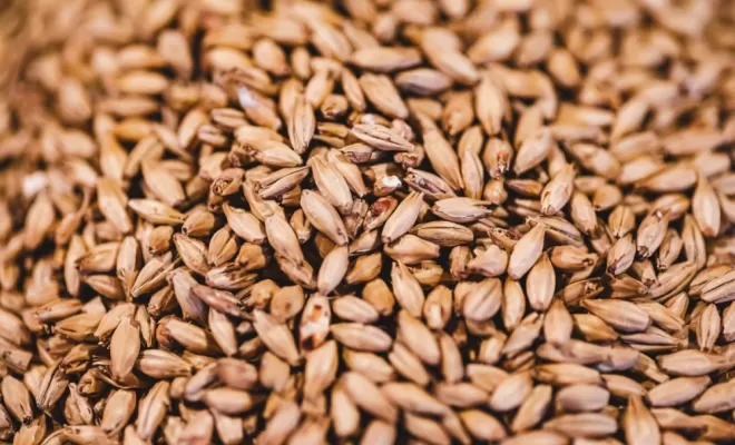 Les ingrédients, Bourg-en-Bresse, Brasserie Kooka