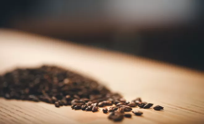 Les ingrédients, Bourg-en-Bresse, Brasserie Kooka