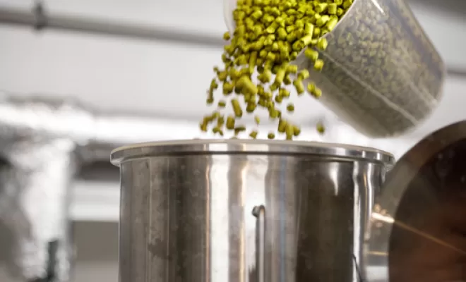 Brasserie, Bourg-en-Bresse, Brasserie Kooka