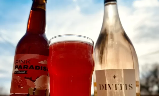 La terrasse, Bourg-en-Bresse, Brasserie Kooka